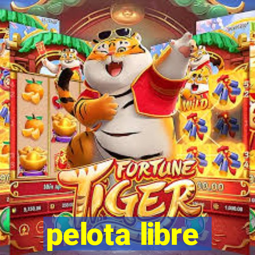 pelota libre